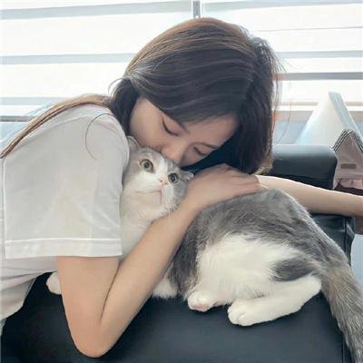 蝴蝶公墓